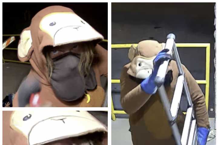 Monkey-Suit Clad Person Vandalizes Salvation Army Cameras: Chambersburg Police