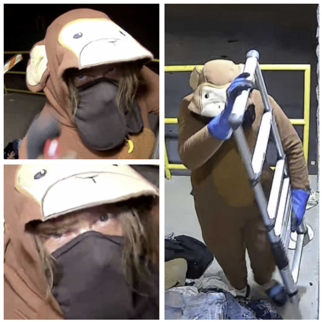 The person in monkey suit on the Salvation Army security camera. The person in monkey suit on the Salvation Army security camera.