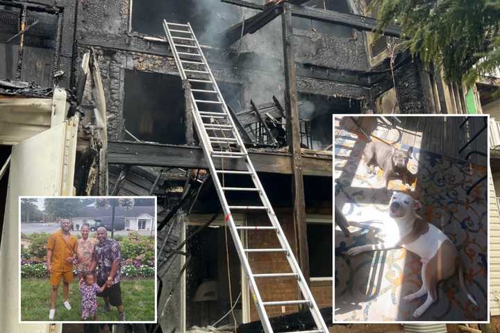 Beloved Dogs Barely Survive Lightning-Sparked Blaze That Gutted Pikesville Home
