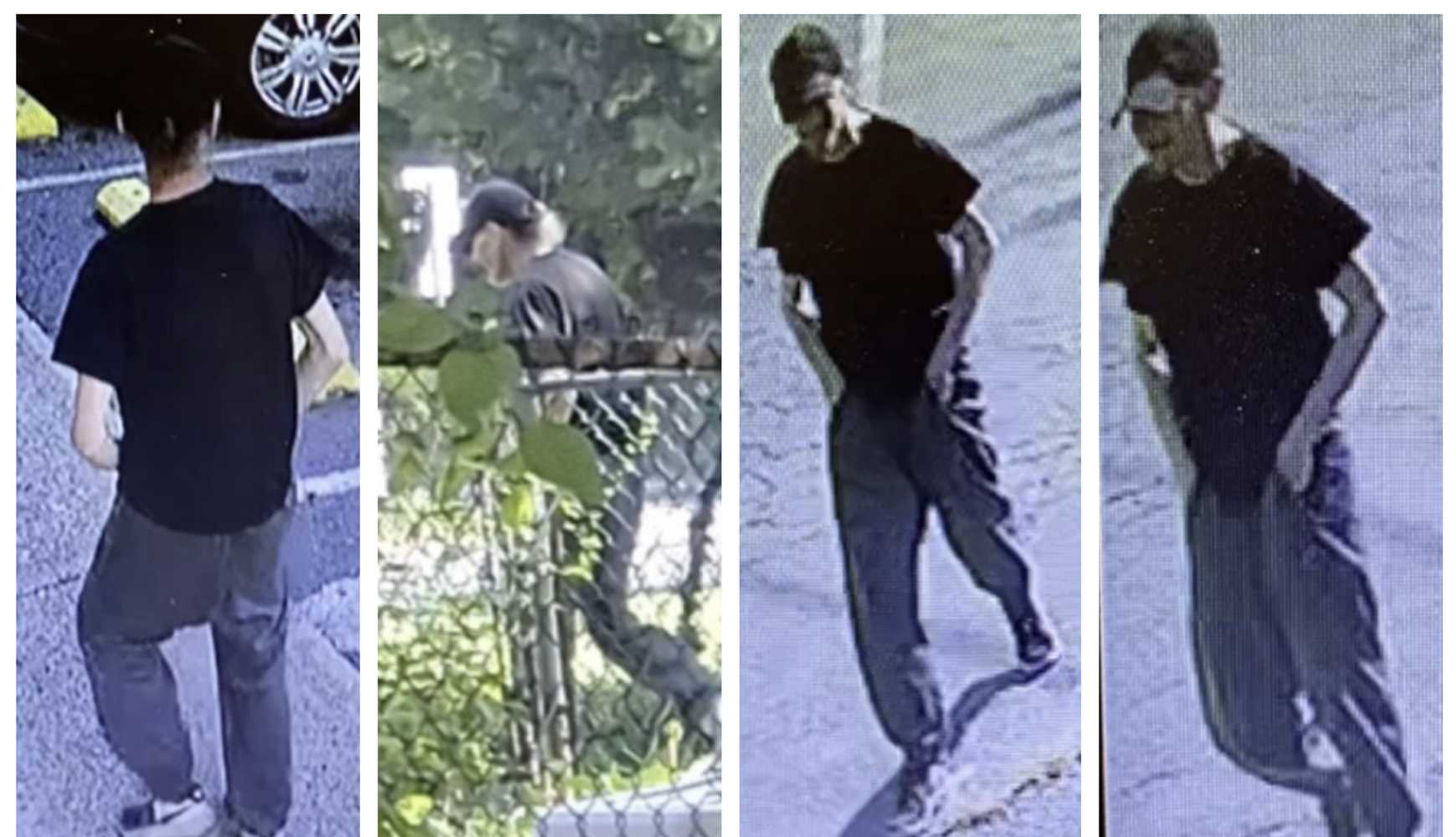 
The man suspected of trying to have sexual activities with someone's dog through a fence, twice, police say. 
