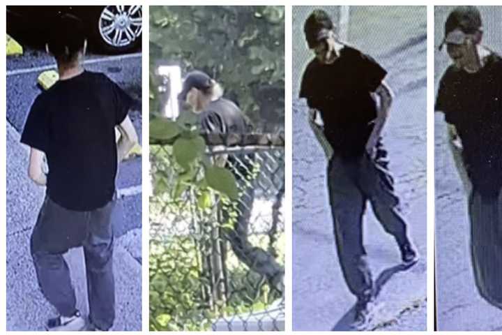 Man Tried Sex Act With Dog—Twice, In Pennsylvania Yard, Police Say; Suspect ID’d