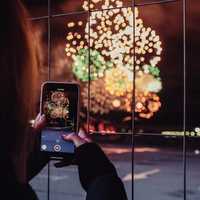 Animals Blown Up With Fireworks, Videos Posted On Social Media: Police