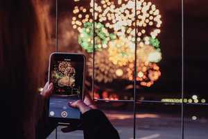 Animals Blown Up With Fireworks, Videos Posted On Social Media: Police