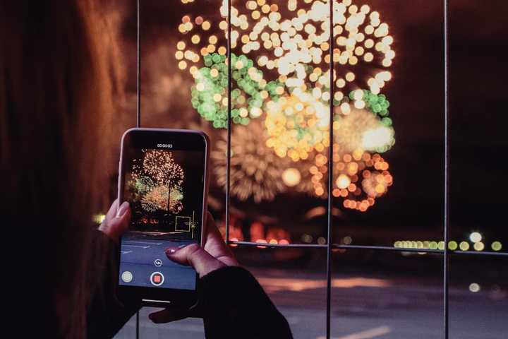 Animals Blown Up With Fireworks, Videos Posted On Social Media: Police