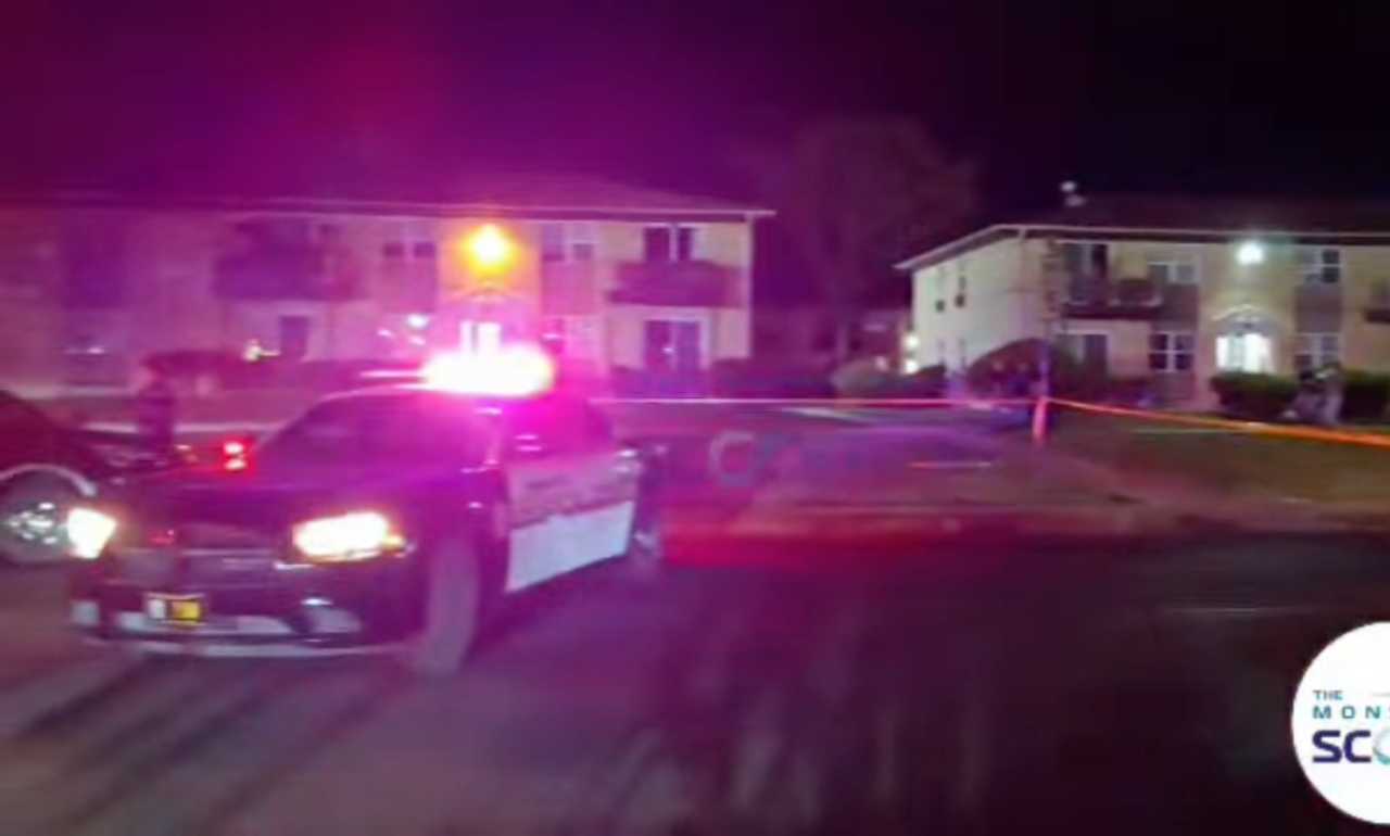 The shots were fired in Regency Village in the area of 59 Robert Pitt Dr. in Spring Valley. 