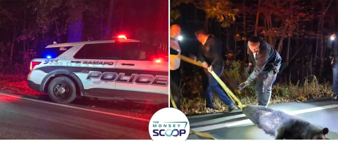 A dead bear was pulled from Route 306 in Pomona. A dead bear was pulled from Route 306 in Pomona.