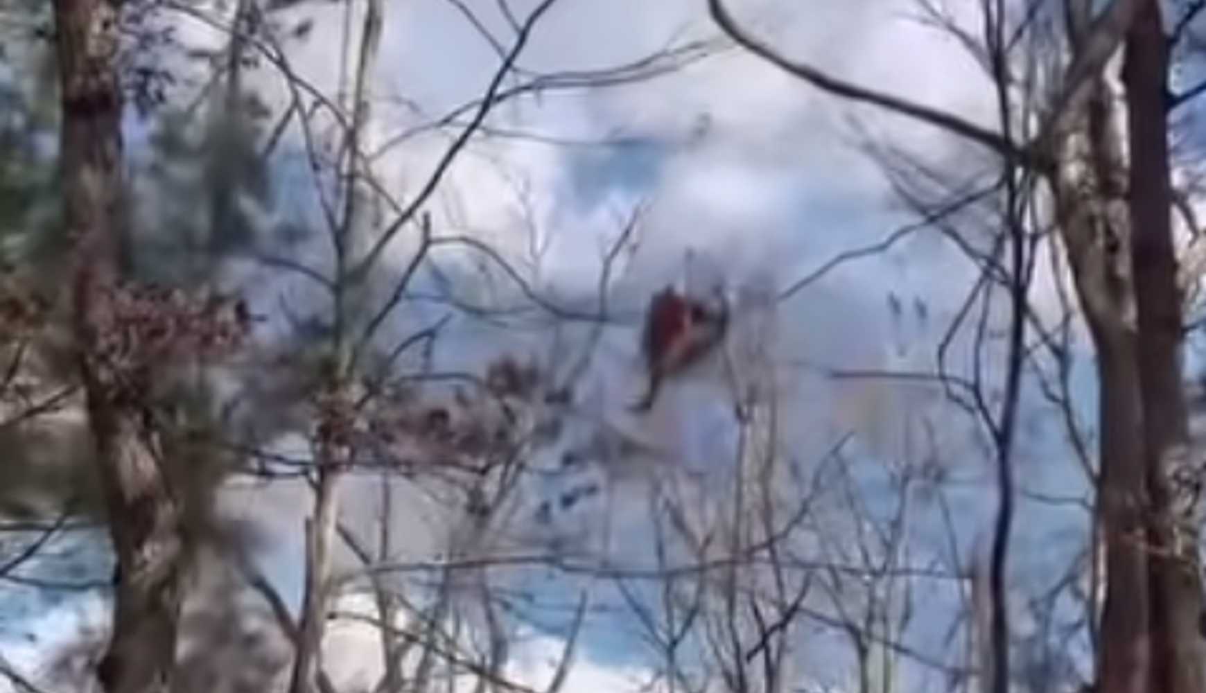 
The hiker was hoisted to safety by a Maryland State Police helicopter.
