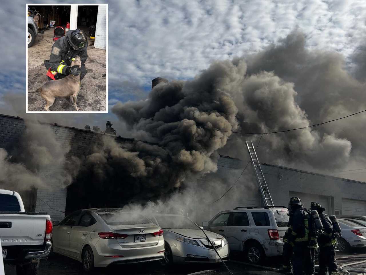 A dog was rescued from the Fredericksburg fire.