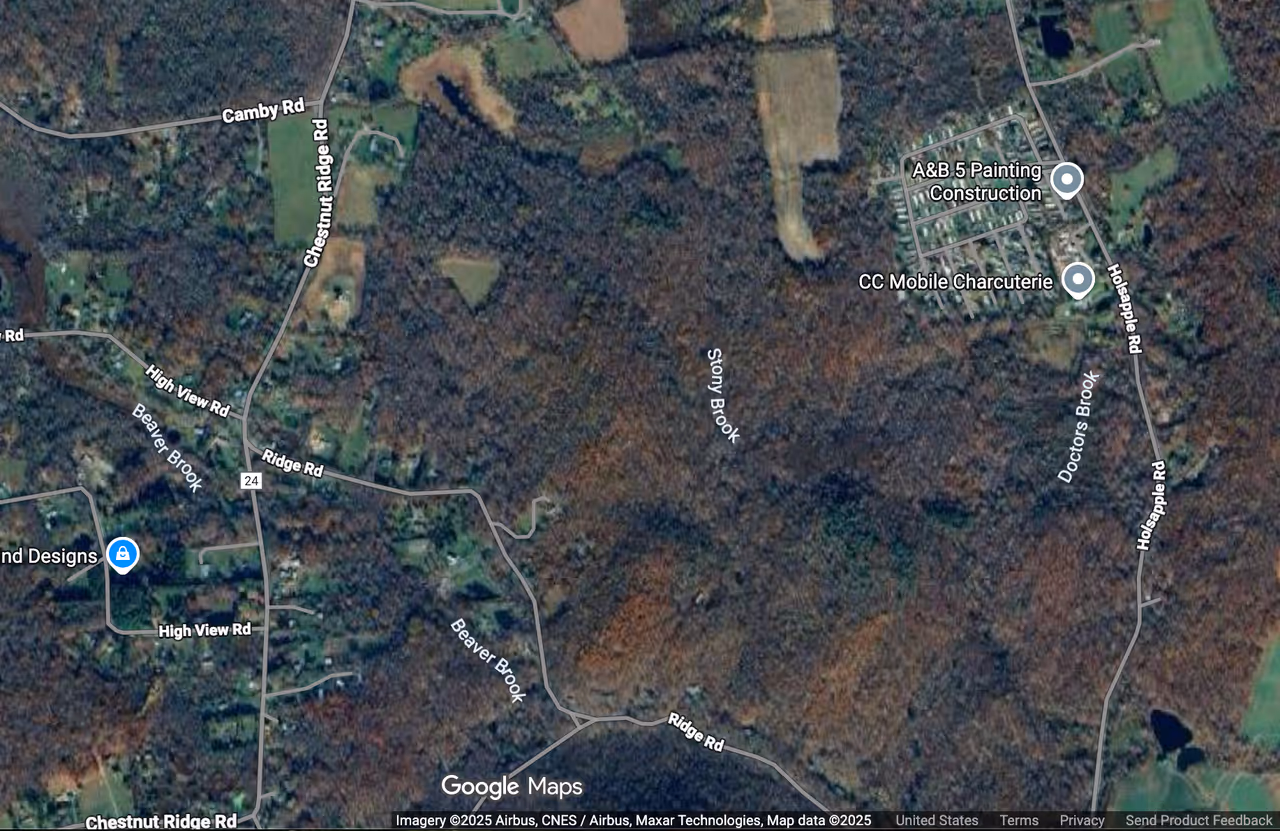 Police are searching the woods in the area of Holsapple Road and Chestnut Ridge Road in Dover. Police are searching the woods in the area of Holsapple Road and Chestnut Ridge Road in Dover. 