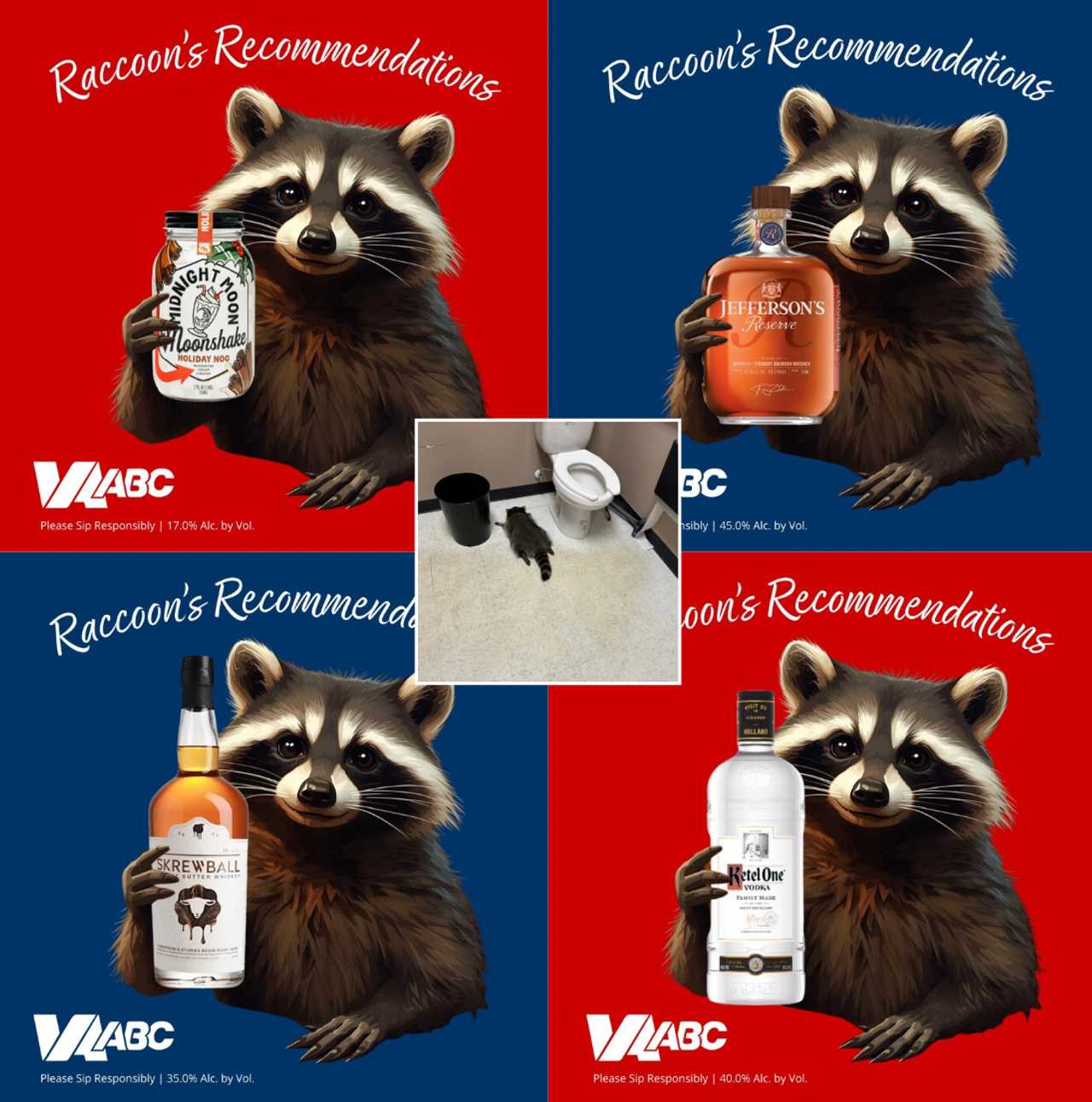 The raccoon had a little bit too much to drink in Virginia. The raccoon had a little bit too much to drink in Virginia.