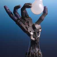 Tesla Starts Producing Humanoid Robots: Who Could Get One First?