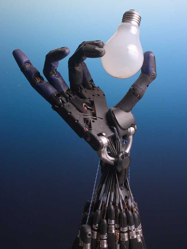 Tesla Starts Producing Humanoid Robots: Who Could Get One First?