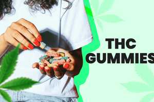 Best THC Gummies: 13 Best Weed Gummies