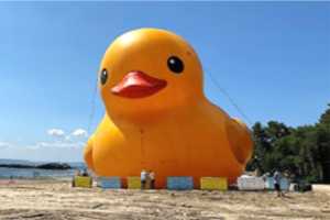 Spec-Quack-ular: 'World's Largest Rubber Duck' Coming To Rye Playland