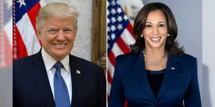 Former President Donald Trump and Vice President Kamala Harris.&nbsp;