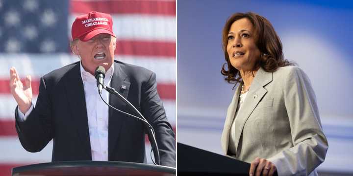 Former President Donald Trump and Vice President Kamala Harris.