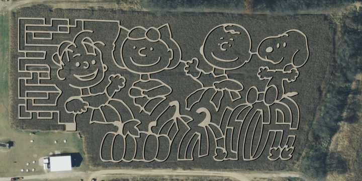 A Peanuts-themed corn maze in Hebron, Ohio.&nbsp;