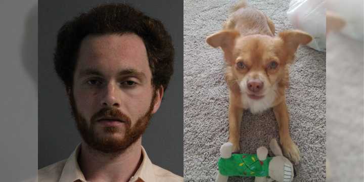 Peter Minichello, age 22, admitted to beating his aunt’s 5-year-old Chihuahua-mix, “Pup-Pup,” to death in July 2022.