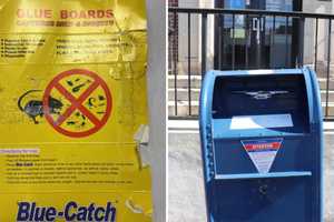 Thieves Using Glue Traps To Steal From Mailboxes In This Westchester City, Police Warn