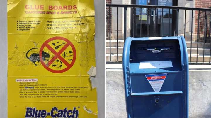 Rye Police released an image of the glue boards found in mailboxes throughout the city, including the one pictured here.&nbsp;