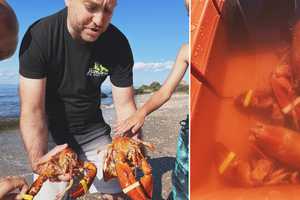 New Lobster Tales: 2 More Rare Orange Crustaceans Found On Long Island