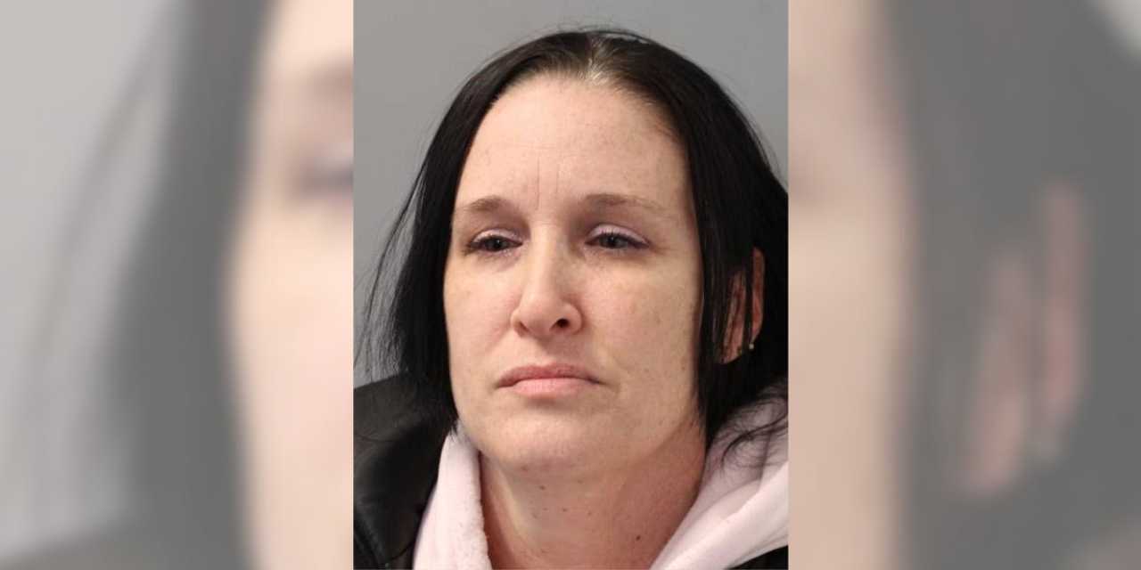 Owner Of Dog That Mauled 2YearOld Boy On Long Island Cops To Reckless