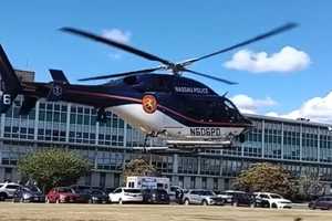 Child Airlifted, 2 Women Injured In Dog Attack At Long Island Home