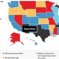 <p>Ballot selfie laws by state.</p>