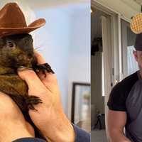 <p>Mark Longo and "Peanut" the squirrel.</p>