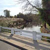 Contractor Who 'Destroyed' Protected Wetlands In West Babylon Fined $121K