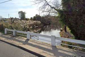 Contractor Who 'Destroyed' Protected Wetlands In West Babylon Fined $121K