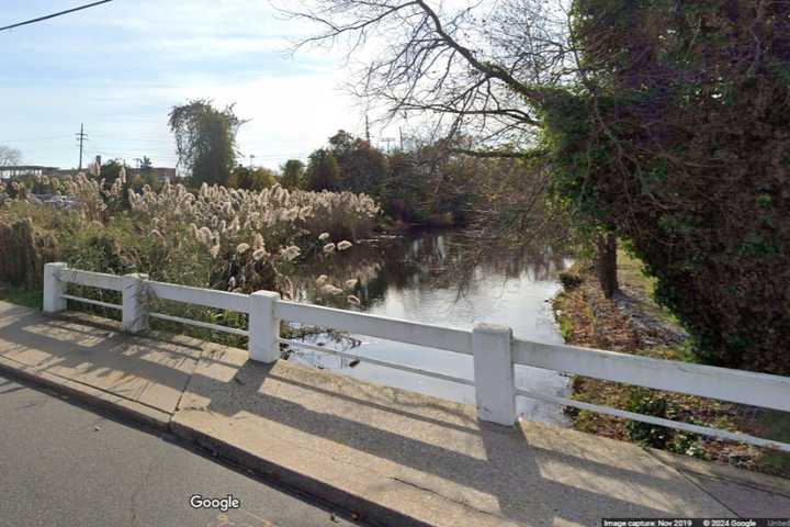 Contractor Who 'Destroyed' Protected Wetlands On Long Island Fined $121K