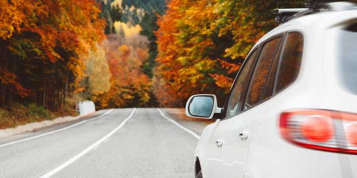 Expect plenty of company on the roads as you head to grandma’s house.