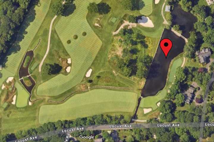 Stuck Dog Pulled From Icy Pond At Country Club In Westchester