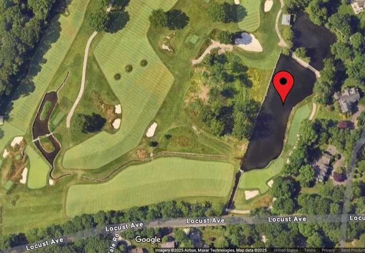 The dog was rescued from a pond near the 12th tee at The Apawamis Club in Rye.  