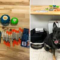 K9 Helps Sniff Out Hidden Narcotics During Traffic Stop In Lewisboro