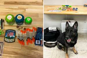 K9 Helps Sniff Out Hidden Narcotics During Traffic Stop In Lewisboro