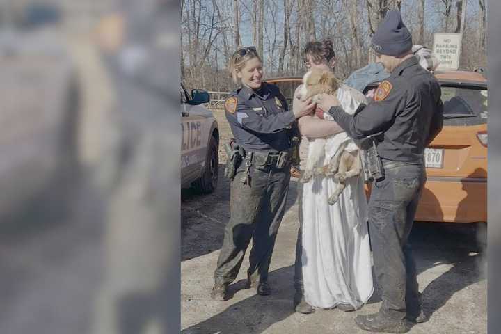 Jogger Spends Half Hour Stuck In Chest-High Mud After Trying To Rescue Dog In Smithtown