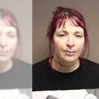 Woman Starved Dog, Threw Dead Body In Trash Can In Rensselaer, Police Say