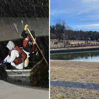 Discovery Of 12 Dead Geese Prompts Park Closure, Bird Flu Concerns In Mount Pleasant