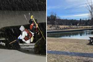 Discovery Of 12 Dead Geese Prompts Park Closure, Bird Flu Concerns In Hudson Valley