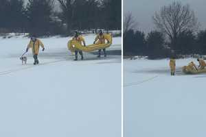 Dog Falls Through Ice On Pond In Hudson Valley