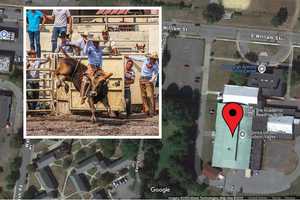Jaripeo Rodeo Event Leads To Noise Complaint Citation In New Windsor: Police
