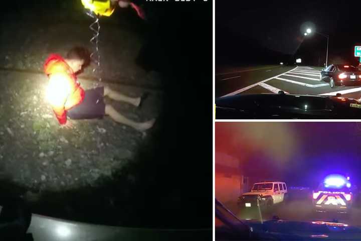 Chase Ends In Crash, TASER Device Use Near Train Tracks In Westchester, Police Say (VIDEO)