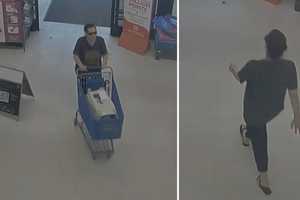 Know Her? Woman Abandons Senior Cat In Nanuet Store