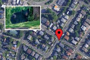 Black Bear Euthanized After Sightings in Densely Populated Harrison Neighborhood