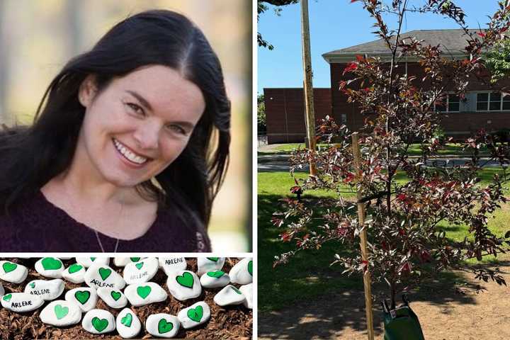 Tree Planting Honors Eastchester Teacher Killed In Murder-Suicide: 'Lasting Symbol'