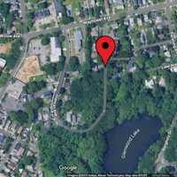 Dog Found Dead In Garbage Bag With Wounds In New Rochelle: Police Investigating