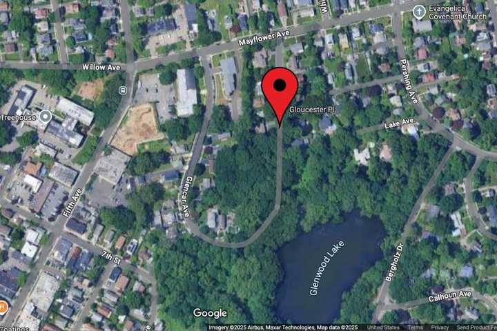 Dog Found Dead In Garbage Bag With Wounds In New Rochelle: Police Investigating