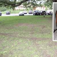 Man Caught After Doing Donuts On Rec Center Lawn In Rye: Police